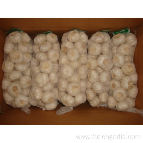 Pure white garlic packing in 1kg bag